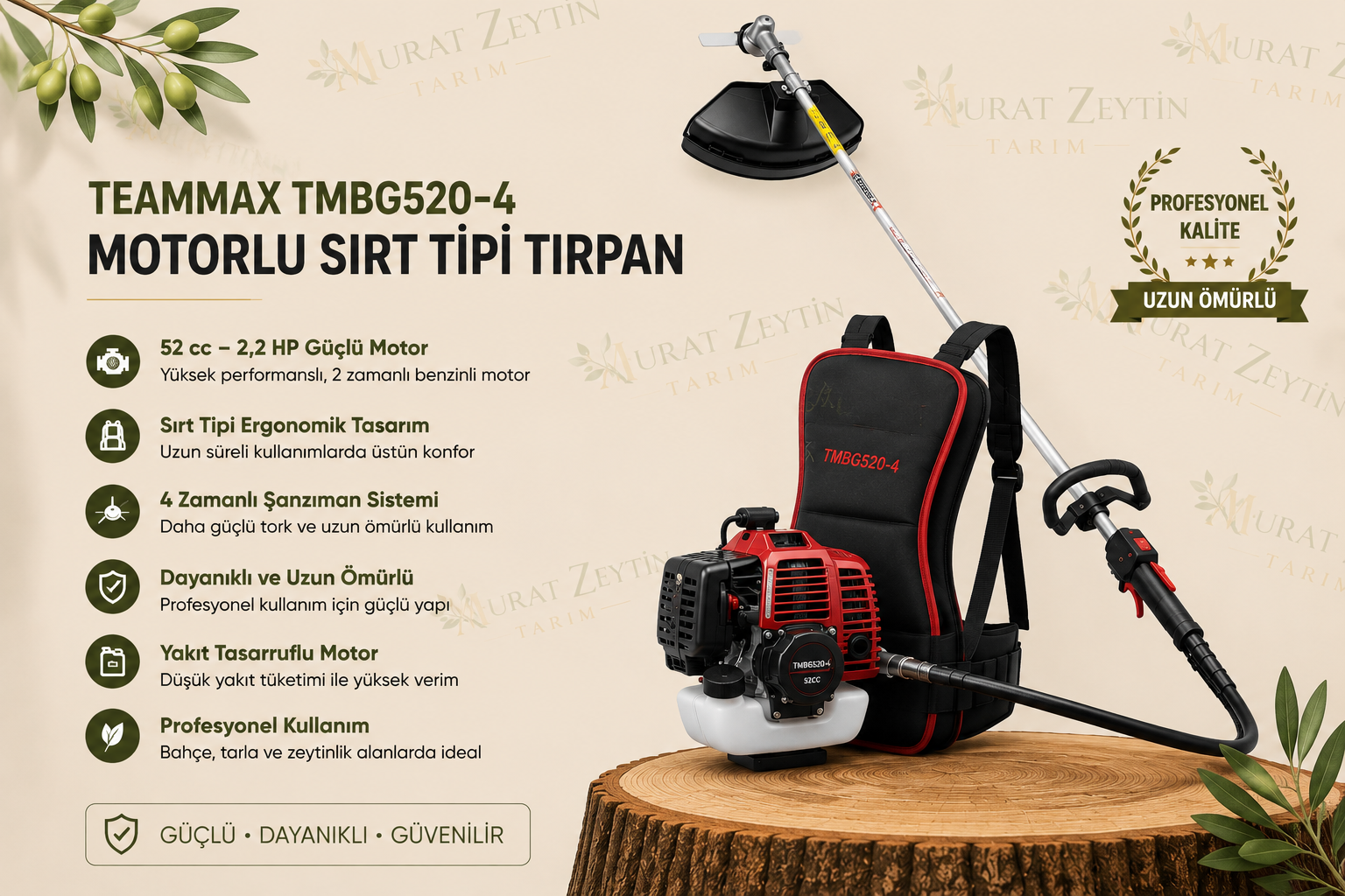 TEAMMAX TMBG520-4 MOTORLU SIRT TİPİ TIRPAN