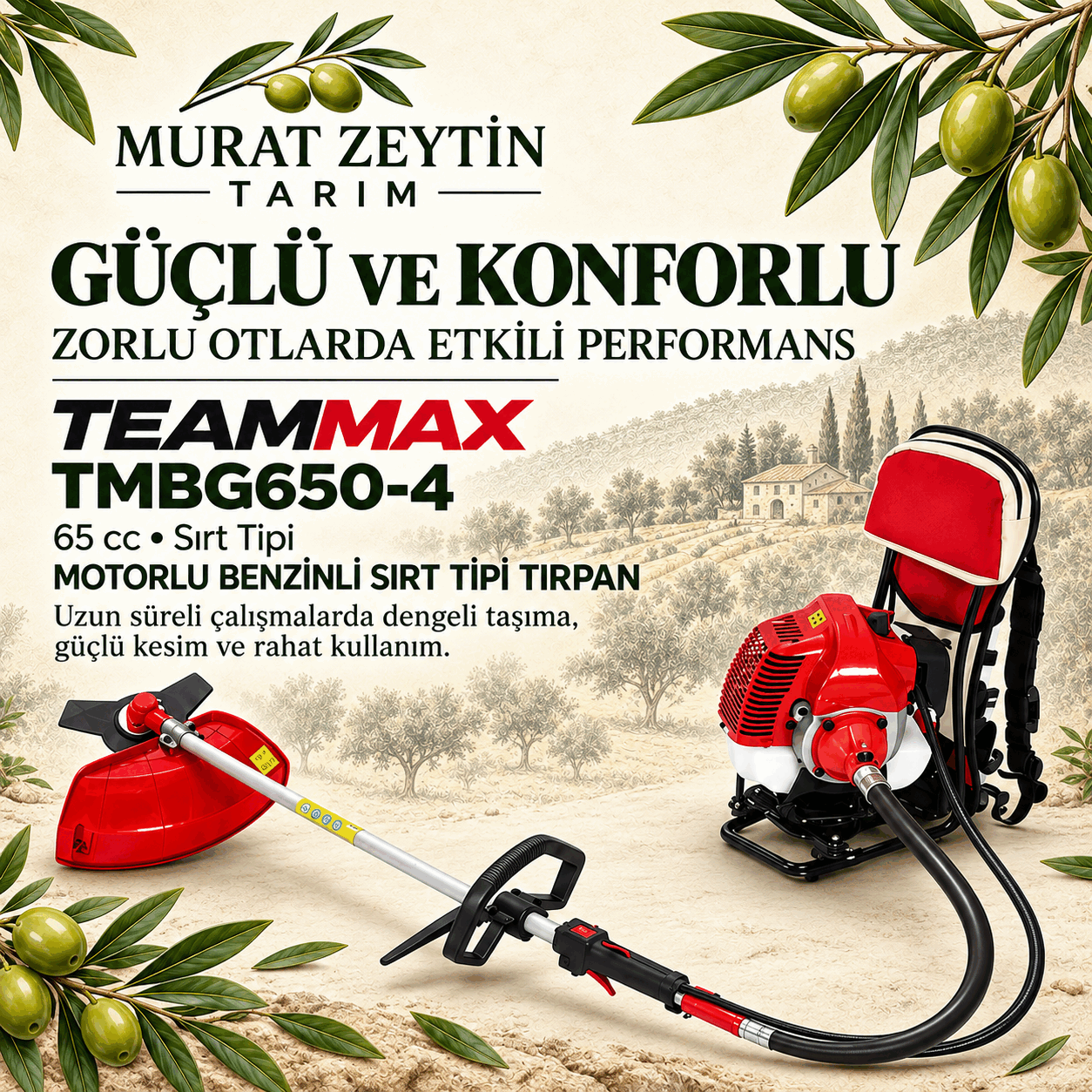 TEAMMAX TMBG650-4 MOTORLU SIRT TİPİ TIRPAN